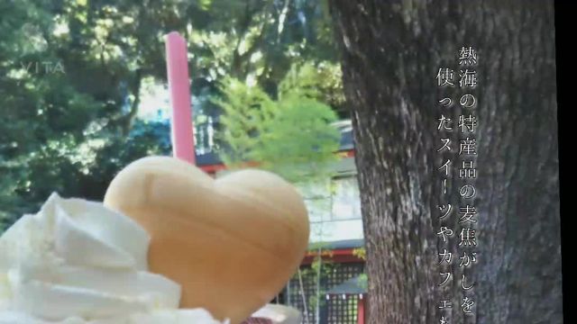 25 親水公園、来宮神社、起雲閣